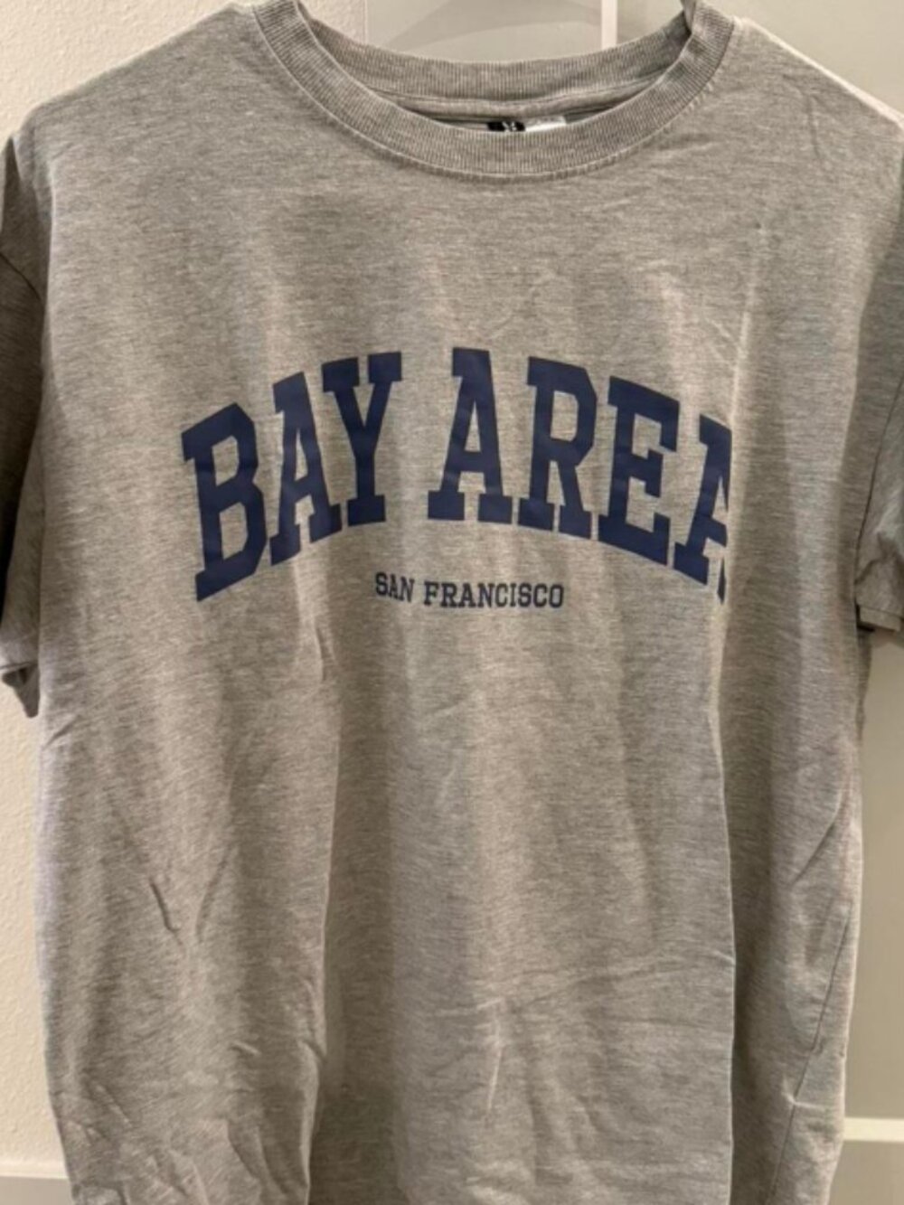 BAY ASIA San Francisco Grey Short sleeved T-shirt